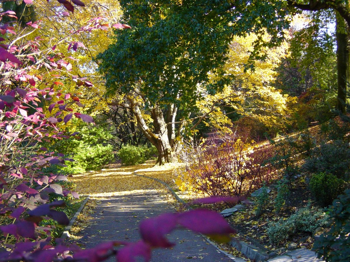 autunno ai giardini botanici di villa taranto (1)