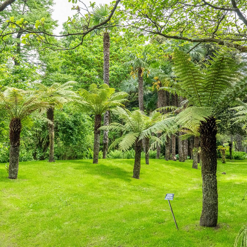 Villa Taranto_Giardini Botanici_Lago Maggiore